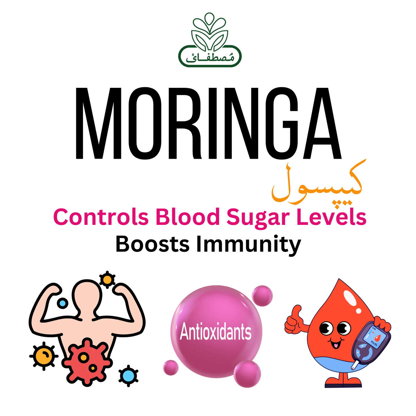 Moringa Capsules – 100% Pure Moringa Powder | Natural Energy & Immunity Booster |