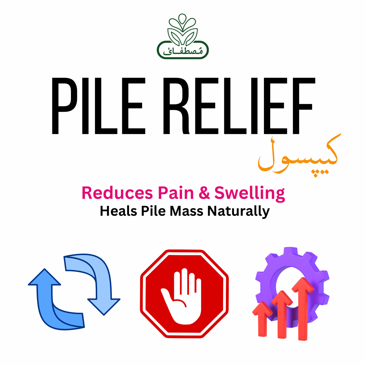Piles Care Capsules – Natural Hemorrhoid Relief | Herbal Treatment | Piles Cure Course