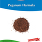 Harmal (Peganum Harmala)