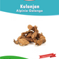Premium Kulanjan - Galangal Roots.