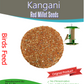 Kangani (Laal kangani) - Red Millet Seeds, Birds food for Canaries,Finches, Waxbills, Budgies, Lovebirds cocktail, Alexandrine