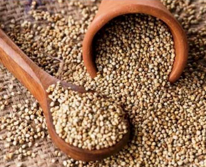 Bajra - Pets Premium Pearl Millet Seeds For Small Birds.