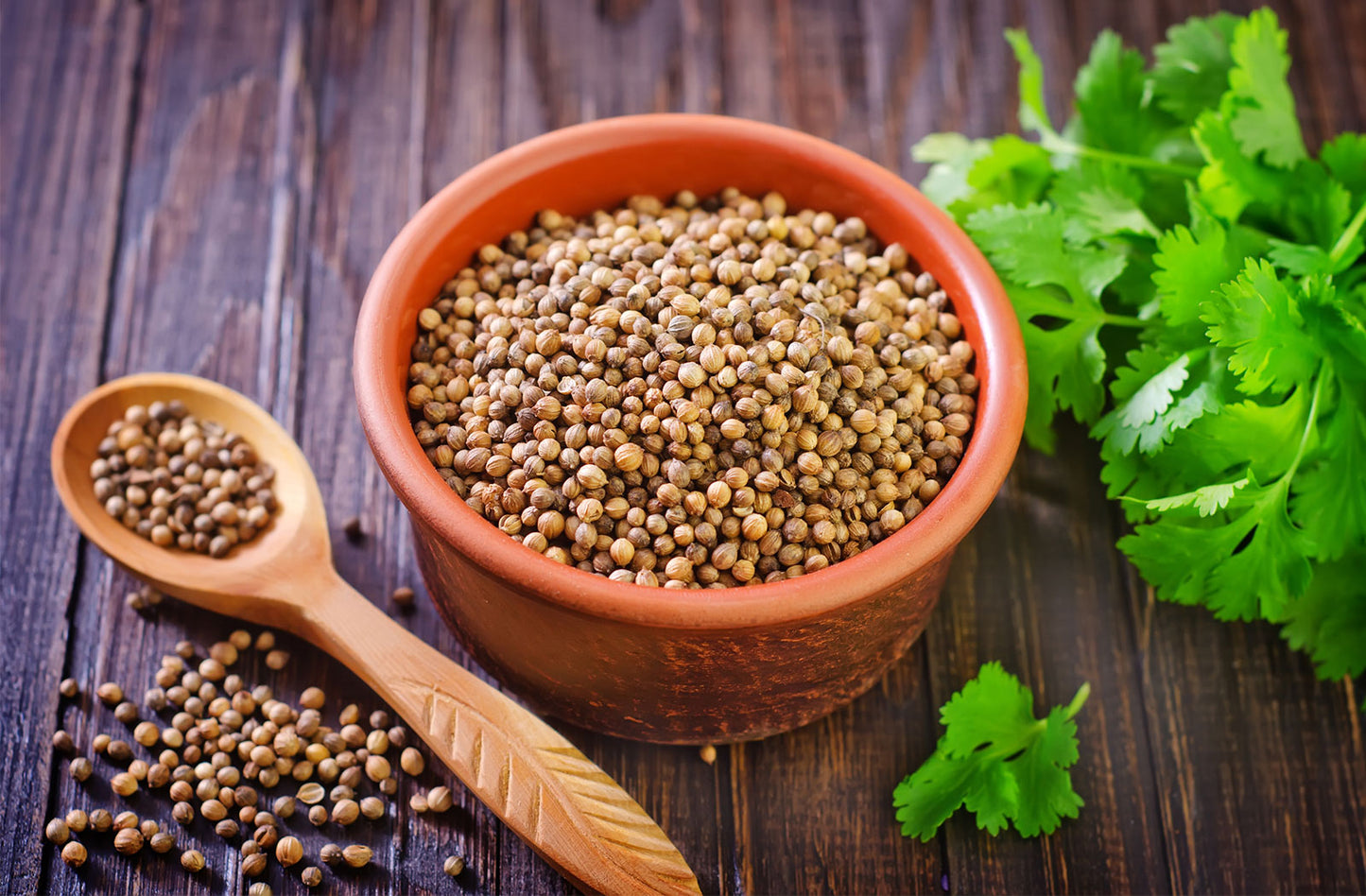 Coriander Whole ( Dhania Sabut )