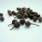 Kabab Chini (Kabab Cheeni) - Cubeb / Tailed Pepper.