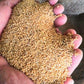 Kangani (Bareek kangani) - White Millet Seeds, Birds food for Canaries,Finches, Waxbills, Budgies, Lovebirds cocktail, Alexandrine
