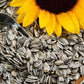 Sunflower Seeds - Suraj Mukhi Beej - Fresh and Best For Eating